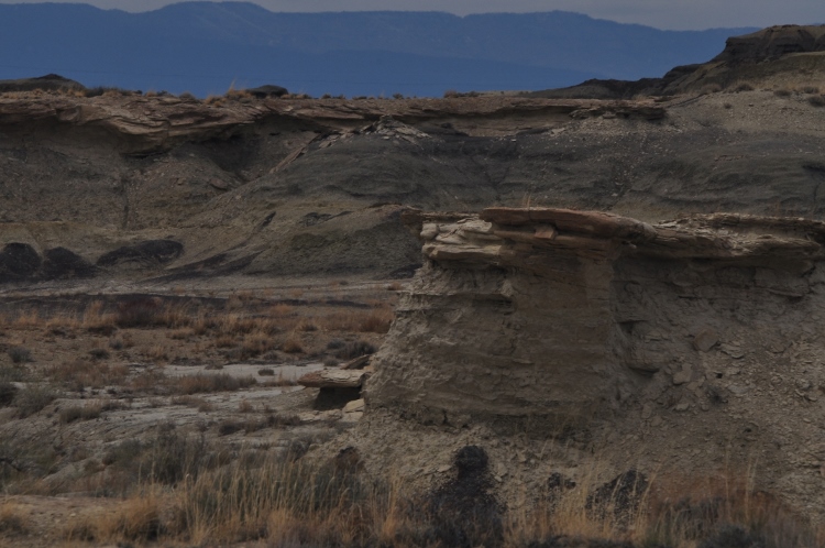 bisti wilderness